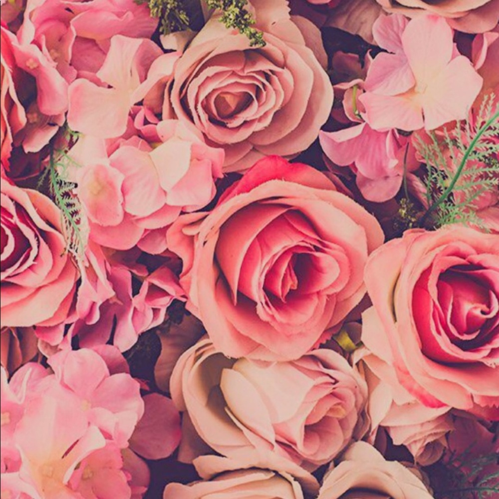 Meet your Posher, Iliana